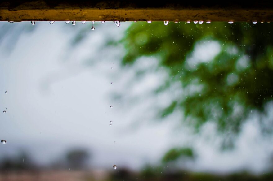 photography of rainy weather with trees