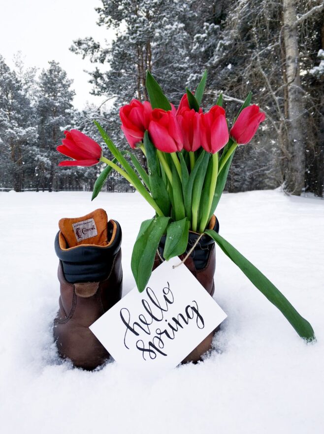 red flower bouquet on brown leather boots during snow weather